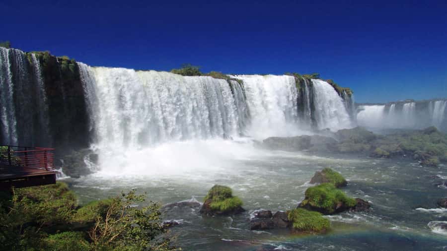 Foz do Iguaçu: Brazilian Side of the Falls + Bird Park - Brazilian Side of Iguaçu Falls: The View You Want Without a Full-Day Grind