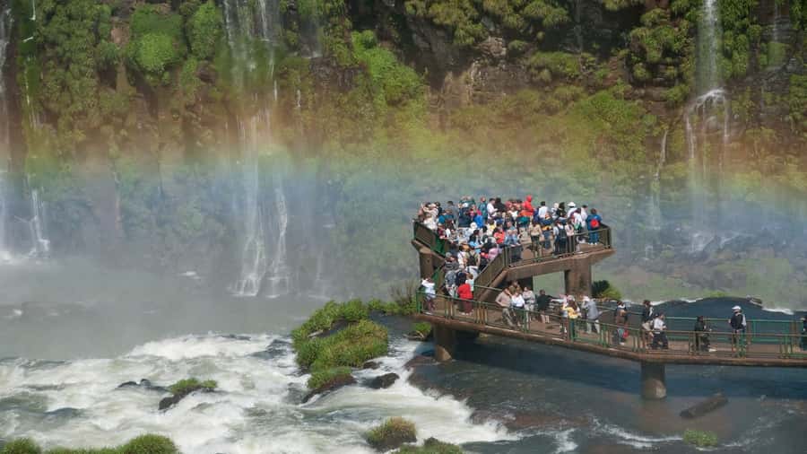 Foz do Iguaçu: Brazilian Side of the Falls + Bird Park - Bird Park in Foz do Iguaçu: A Manageable 1.5 to 2 Hour Bird Fix
