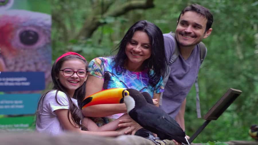 Foz do Iguaçu: Brazilian Side of the Falls + Bird Park - Devil’s Throat Observation Platform: Where the Water Feels Close