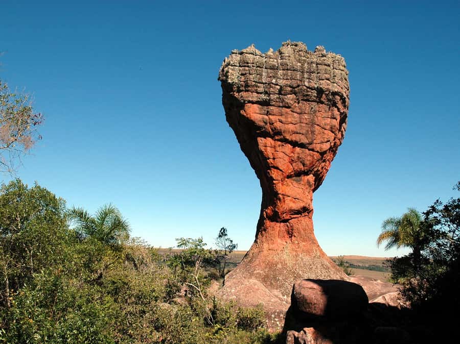 From Curitiba: Vila Velha State Park Full-Day Group Tour - Timing tips so the day feels smooth, not rushed