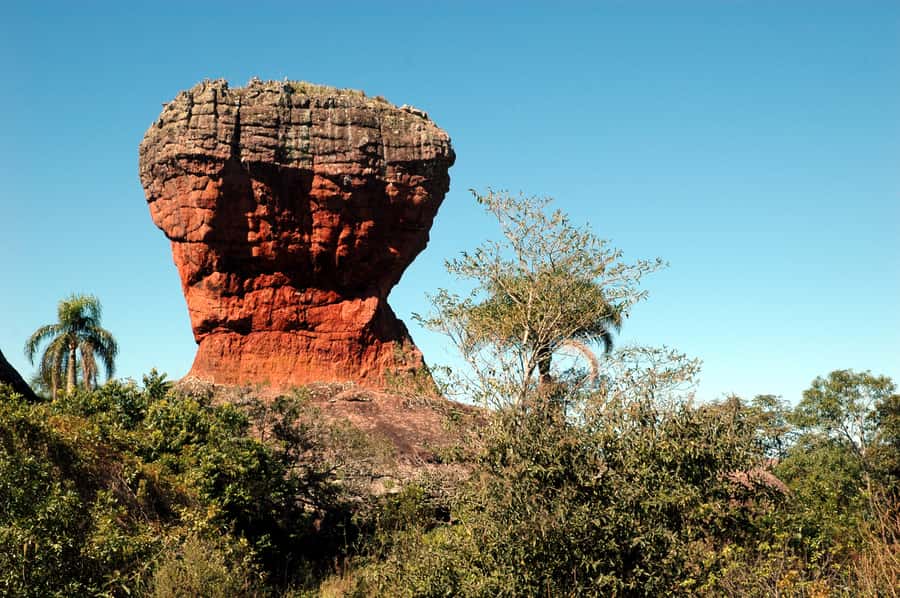 From Curitiba: Vila Velha State Park Full-Day Group Tour - Guide quality makes or breaks a group day