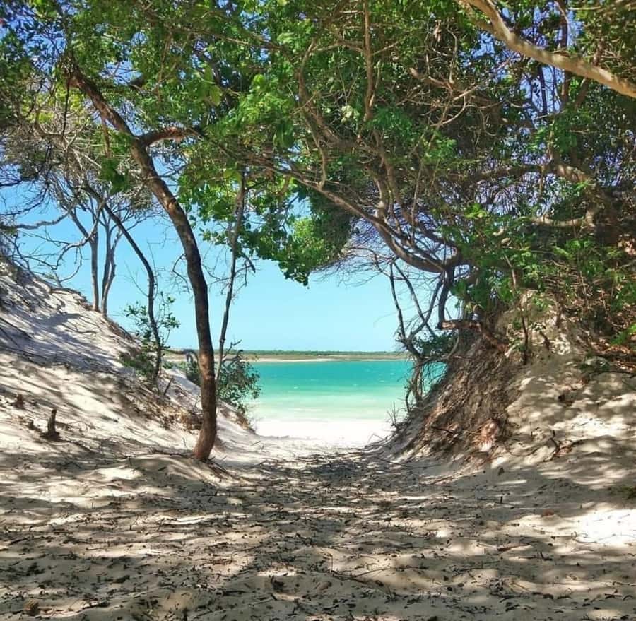 From Fortaleza: Day Trip to Jericoacoara - Lagun Beach and the turquoise-water moment (with limited time)