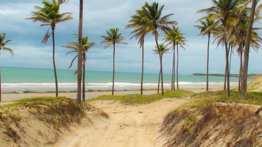 From Fortaleza: Lagoinha Beach Day Trip - Lagoinha Beach time: swim, sand, and quiet coastal mood