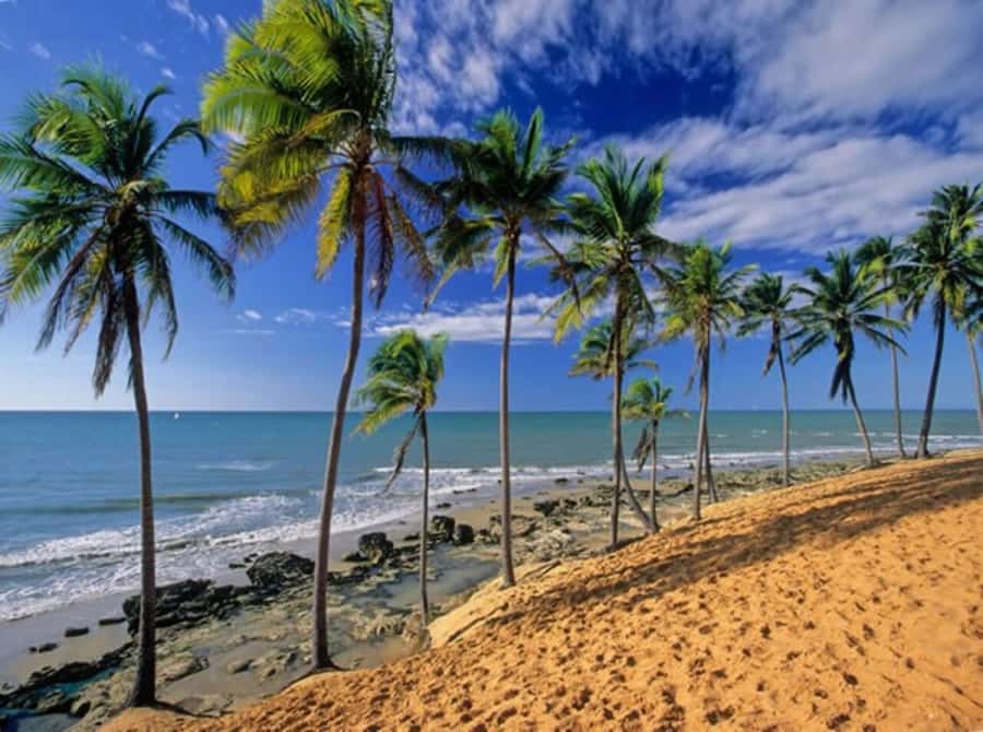 From Fortaleza: Lagoinha Beach Day Trip - The 124 km ride and how the day unfolds
