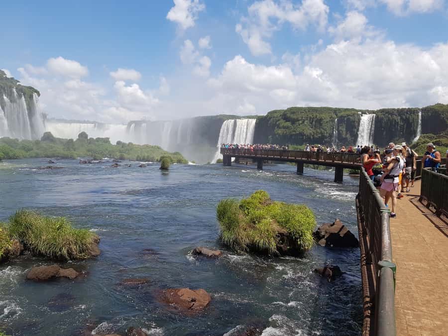 From Foz do Iguaçu: Brazilian Falls and Bird Park Tour - Key Highlights You’ll Actually Feel During the Day