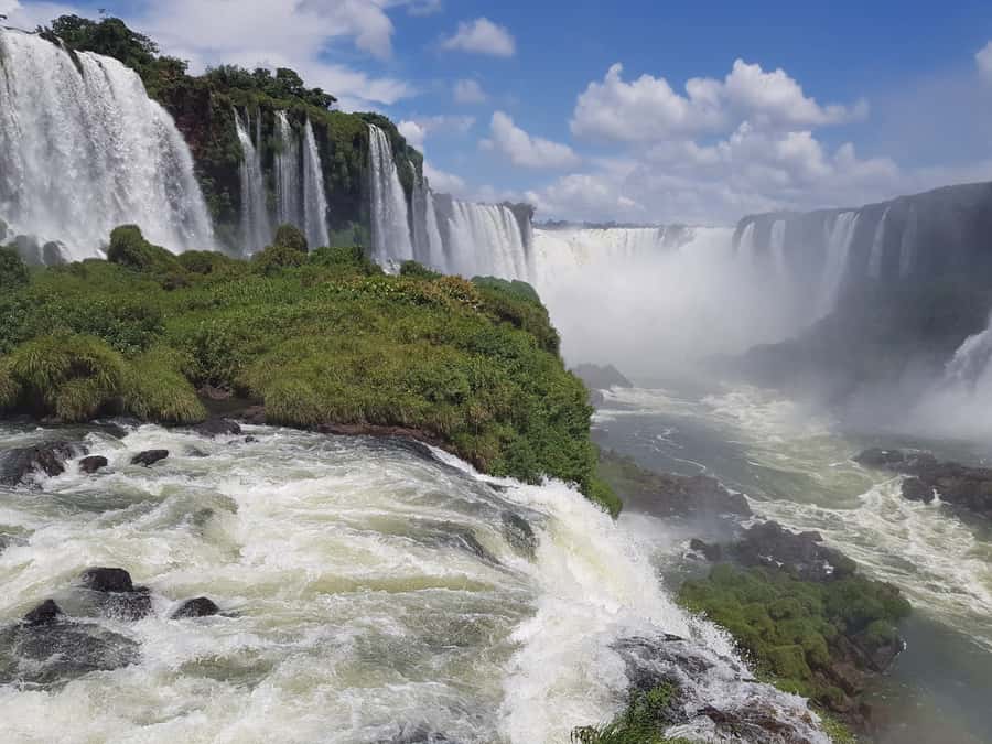 From Foz do Iguaçu: Brazilian Falls and Bird Park Tour - Bird Park in Foz do Iguaçu: A Nature-First Bird Collection
