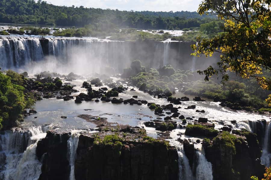 From Foz do Iguaçu: Brazilian Falls and Bird Park Tour - The Classic View Angle: Panoramas Over the Argentinian Side