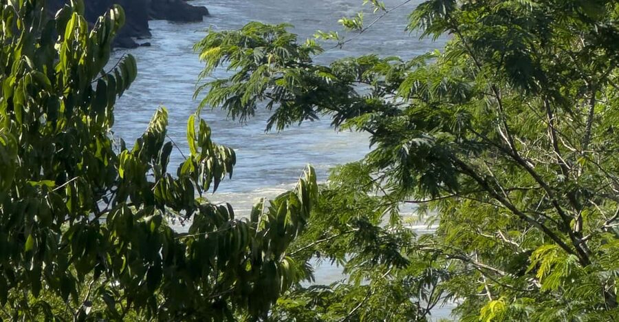 from Foz do Iguaçu: Private Tour on Argentinean Falls - What to Bring So You Don’t Cut Your Day Short