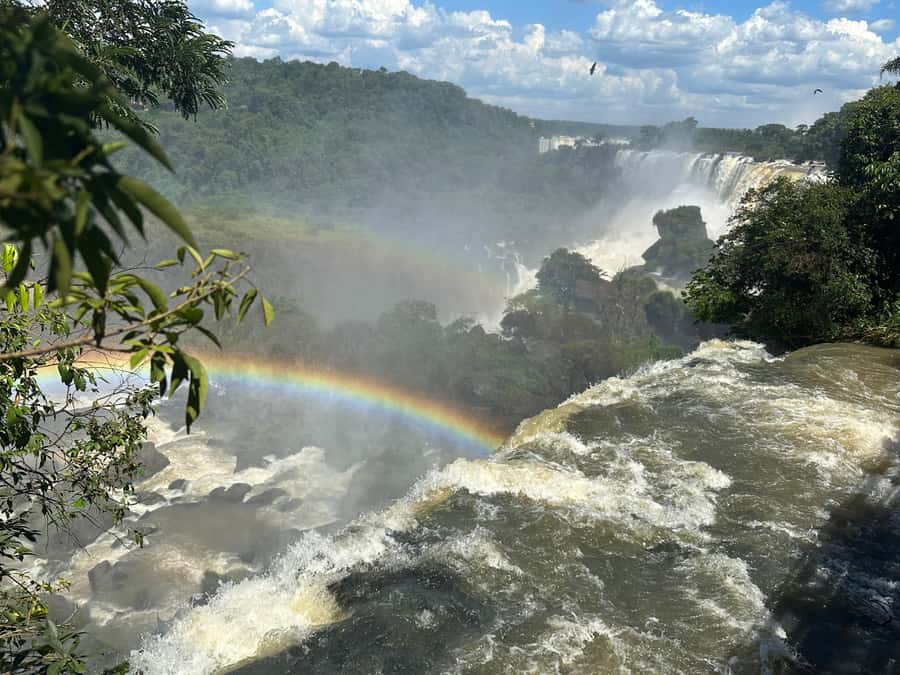 from Foz do Iguaçu: Private Tour on Argentinean Falls - The Lower Circuit: Roar Up Close, Mist on Your Skin