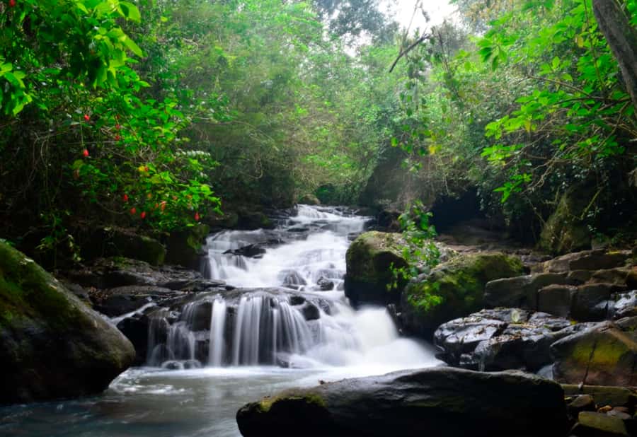 From Foz do Iguaçu: Secret Falls Adventure - Meeting point, travel rhythm, and how the half-day becomes a full adventure