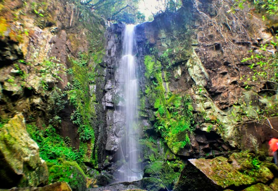 From Foz do Iguaçu: Secret Falls Adventure - The small-group setup, and why it changes the whole experience