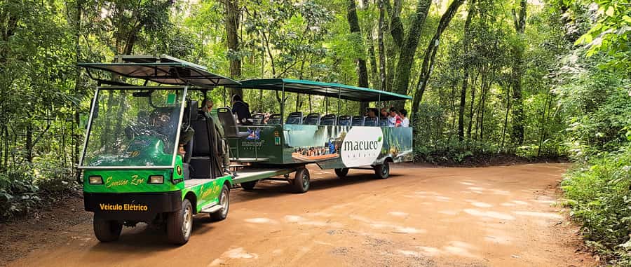 From Foz do Iguazu: Brazil Iguazu Falls & Macuco Safari Boat - The Devil’s Throat observation deck: your big payoff moment on land