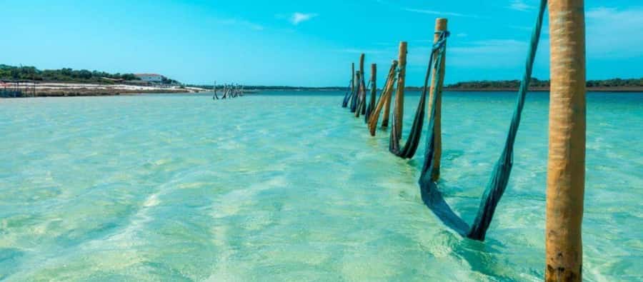 From Jericoacoara: Preá Beach and Paradise Lagoon Tour - Sand dunes photo break, then the ride back to Jericoacoara