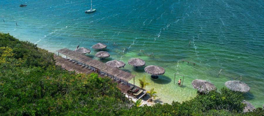 From Jericoacoara: Preá Beach and Paradise Lagoon Tour - Driver quality matters, and the good ones adjust fast