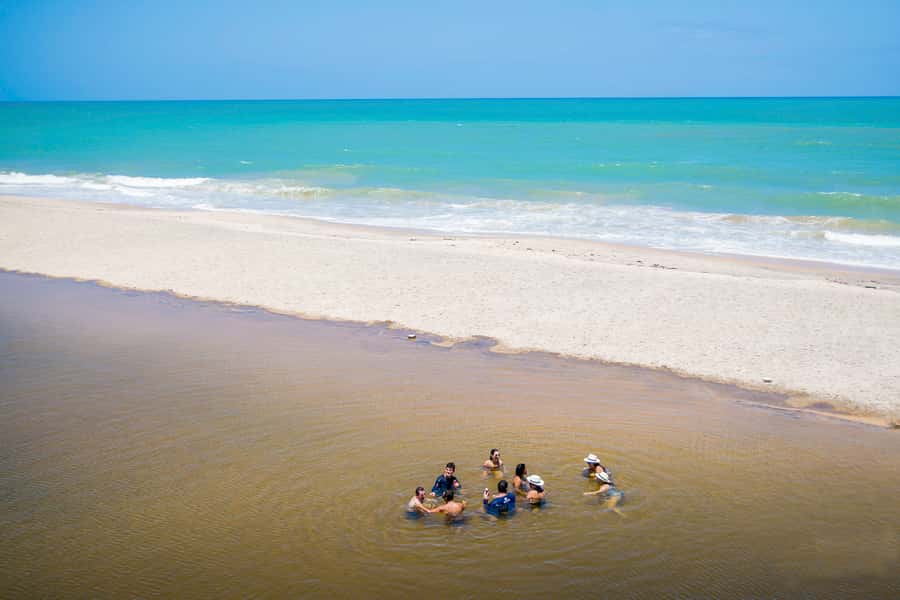 From João Pessoa: Full-Day Southern Coast Beaches Tour - Key things you will notice on this tour
