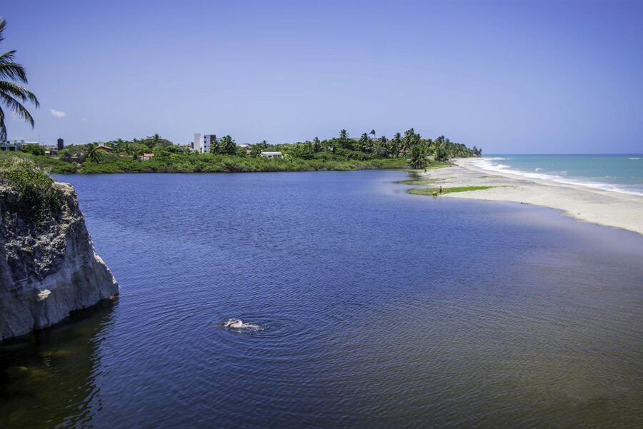 From João Pessoa: Full-Day Southern Coast Beaches Tour - Tambaba Beach and the Cliff Walk You Will Remember