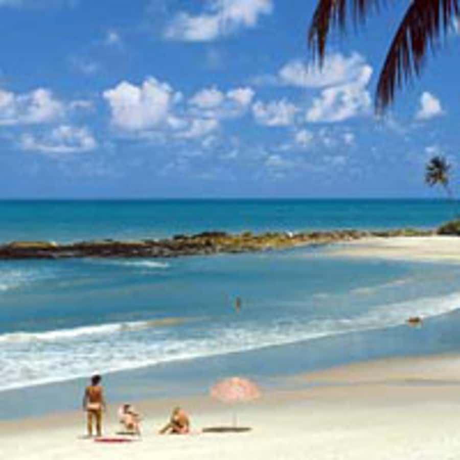 From João Pessoa: Full-Day Southern Coast Beaches Tour - Coqueirinho Beach and the Penelope Charmosa Option