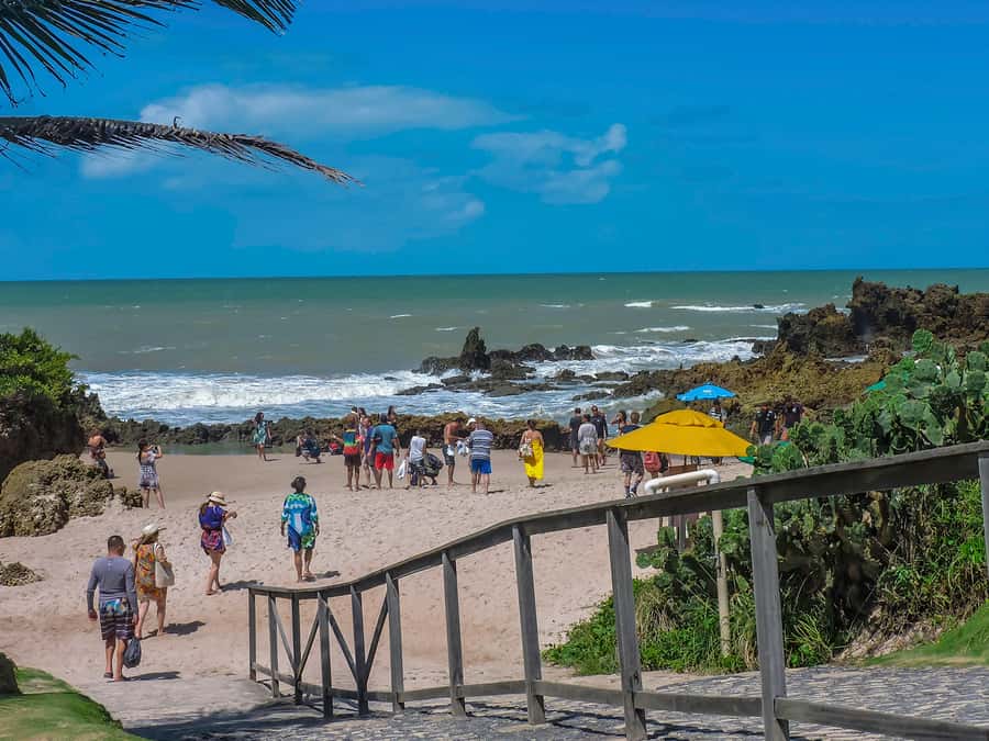 From João Pessoa: Full-Day Southern Coast Beaches Tour - How to Pack for This 9-Hour Coast Day