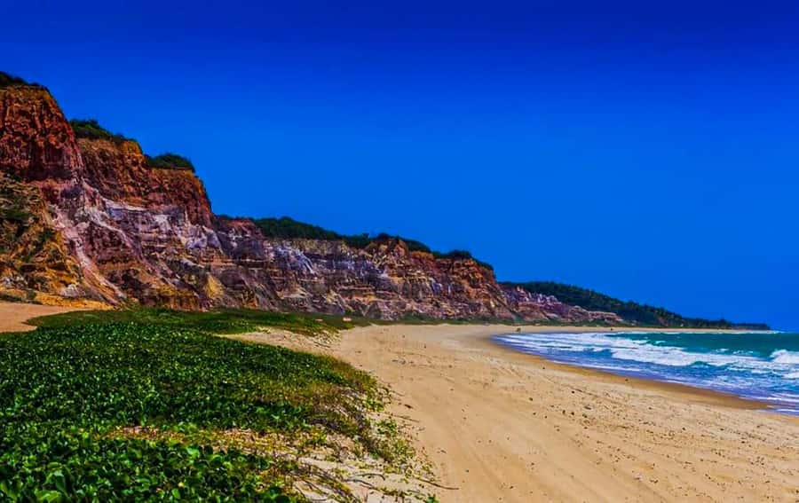 From Maceio: Gunga Beach & Full-Day Tour - Tour length and day-flow: why the 7 hours might feel different