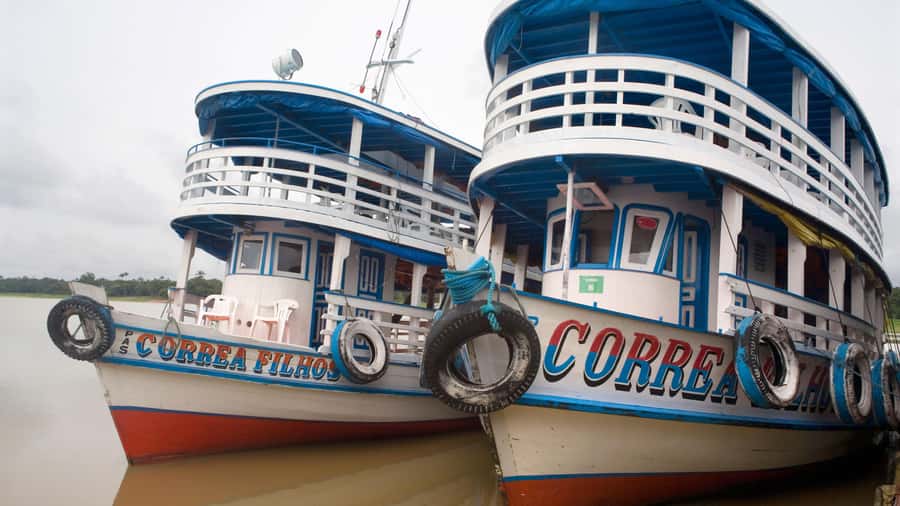 From Manaus: 3 or 4-Day Rio Negro & Anavilhanas River Cruise - Quick hits before you book