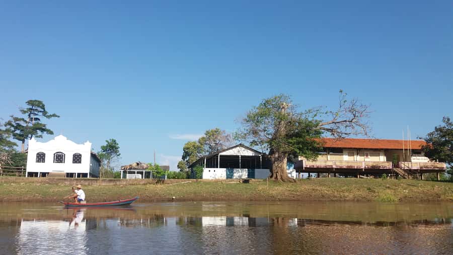 From Manaus: 3 or 4-Day Rio Negro & Anavilhanas River Cruise - Day 1: Janauri Ecological Park, Samauma trees, and the dolphin swim day