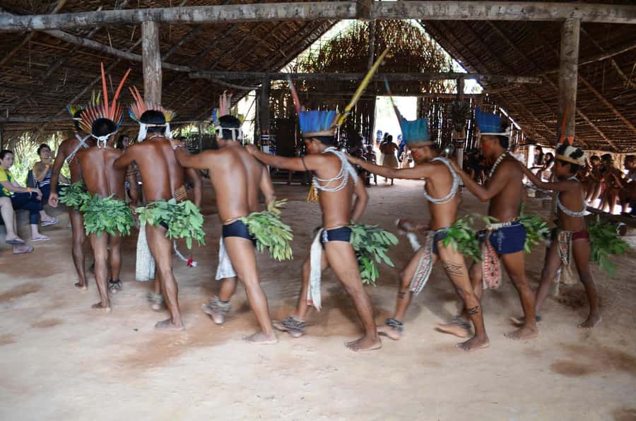 From Manaus: 3 or 4-Day Rio Negro & Anavilhanas River Cruise - Day 3 on the 3-day option: a native family, manioc work, and a fruit-tree look
