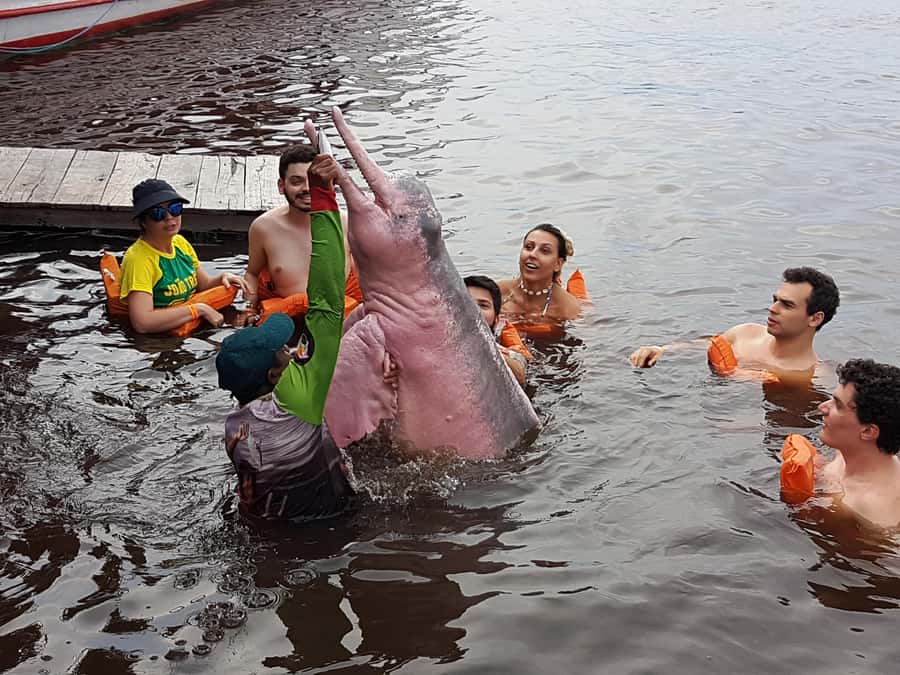 From Manaus: 3 or 4-Day Rio Negro & Anavilhanas River Cruise - Day 4 on the 4-day option: Tupé beach and an indigenous community with tribal dances