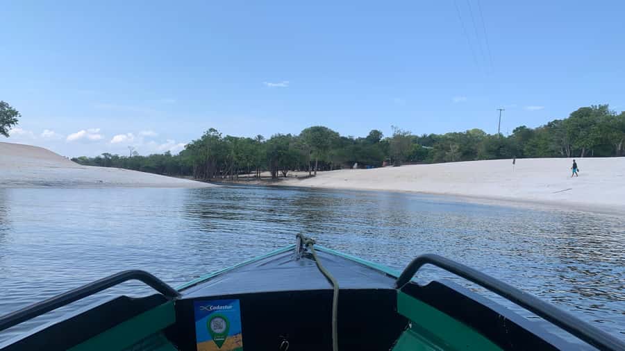 From Manaus: Negro River Half-Day Trip - Price and What $90 Covers in Real Terms