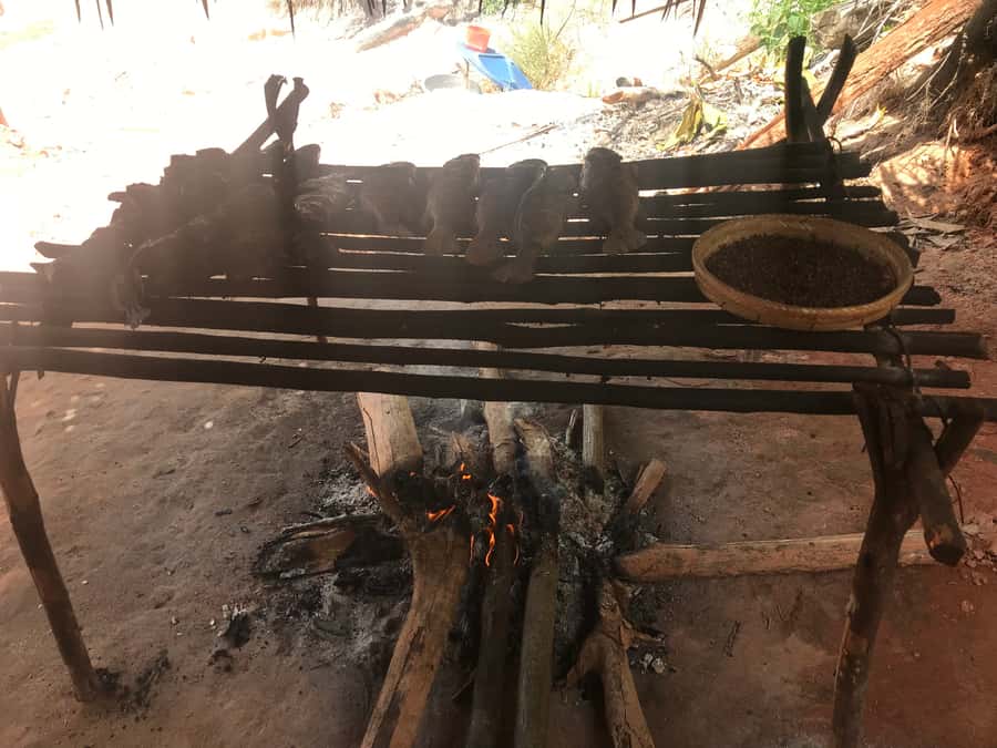 From Manaus: Negro River Half-Day Trip - Timing Tips: Why Your 4-Hour Plan Can Stretch