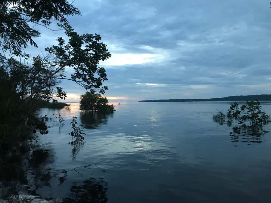 From Manaus: One-Day Amazon Jungle Experience - Key moments that make this tour worth serious attention