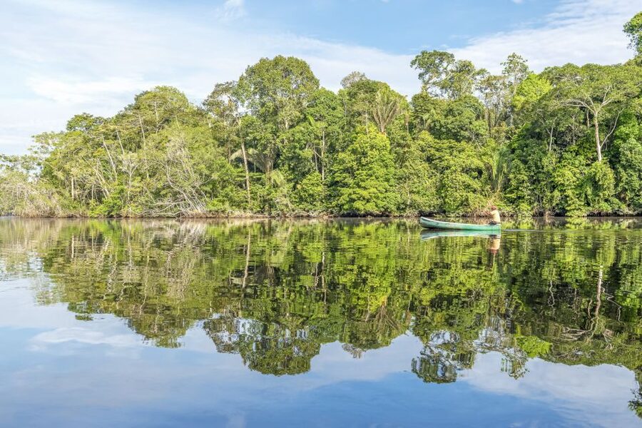 From Manaus: One-Day Amazon Jungle Experience - FAQ