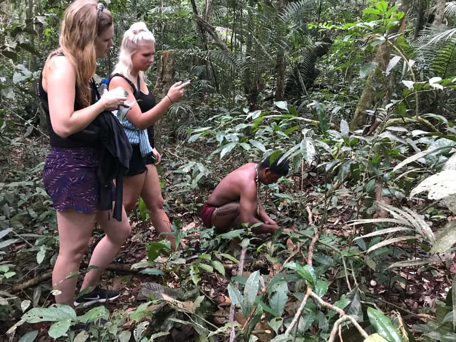 From Manaus: One-Day Amazon Jungle Experience - Pink river dolphins: what the conservation project adds to the swim