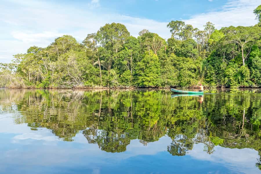 From Manaus: One-Day Amazon Jungle Experience - Who should book, who should think twice, and what to pack