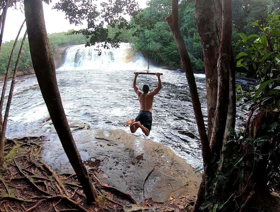 From Manaus: Presidente Figueiredo Waterfalls Daytrip - Presidente Figueiredo: the Amazon day that feels like a full story