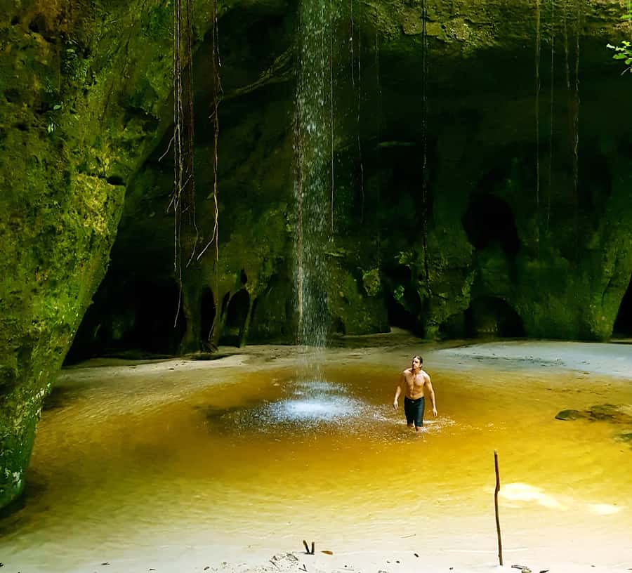From Manaus: Presidente Figueiredo Waterfalls Daytrip - Gruta do Refugio cave: the shallow-stream walk with wildlife potential