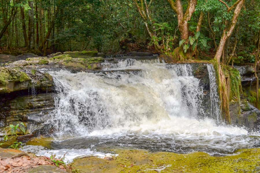 From Manaus: Presidente Figueiredo Waterfalls Daytrip - Who should book this daytrip, and who should skip it