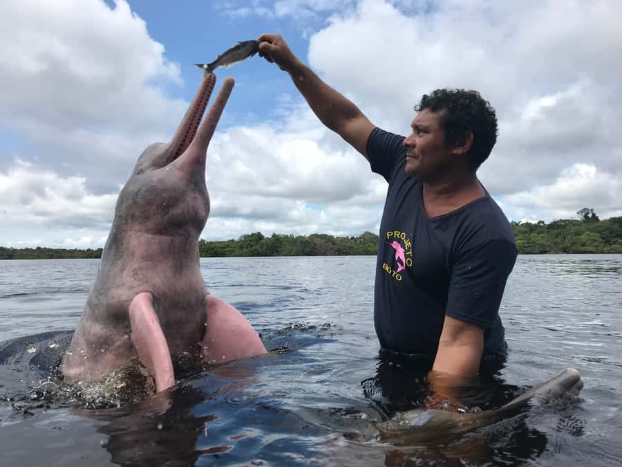 From Manuas: Full-Day River Tour - Floating Villages, Stilt Living, and Pirarucu at the Fish Farm