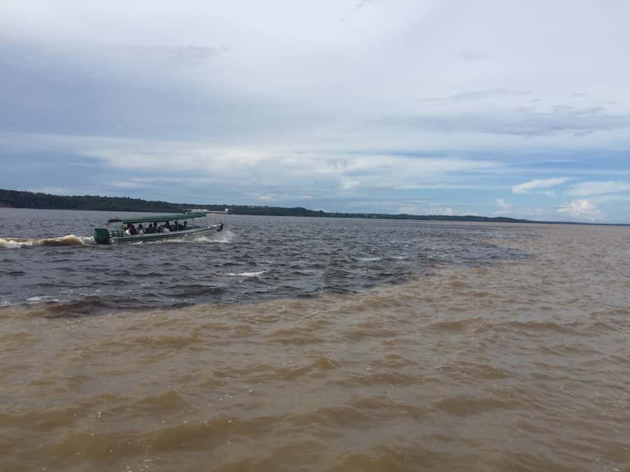 From Manuas: Full-Day River Tour - Two Rivers Side by Side: The Amazon Moment You Came For