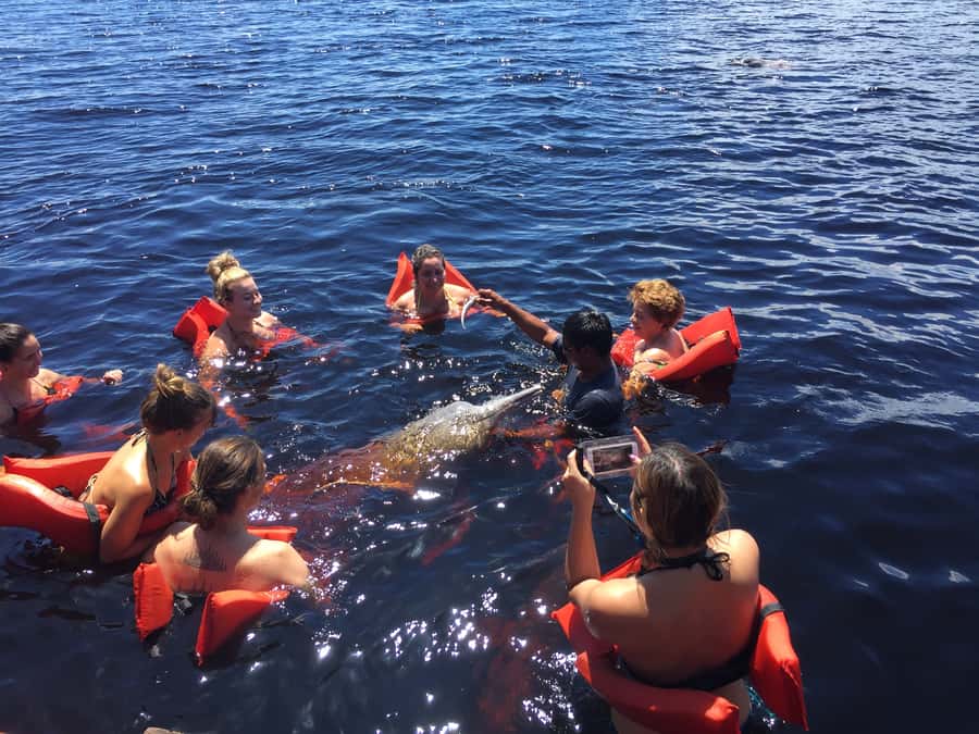 From Manuas: Full-Day River Tour - Price, Time, and Group Size: Getting Value for 9 Hours