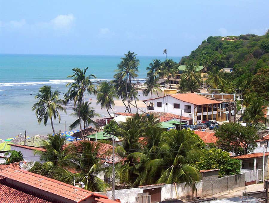 From Natal: Pipa, Cacimbinhas, And Love Beach Full-Day Tour - Key points before you go