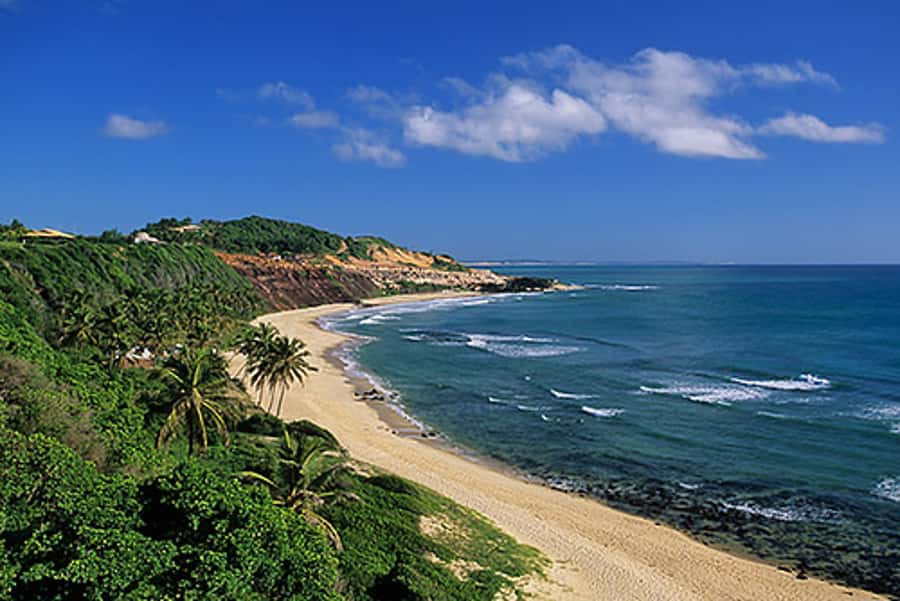 From Natal: Pipa, Cacimbinhas, And Love Beach Full-Day Tour - Natal to Pipa in one day, without the hassle