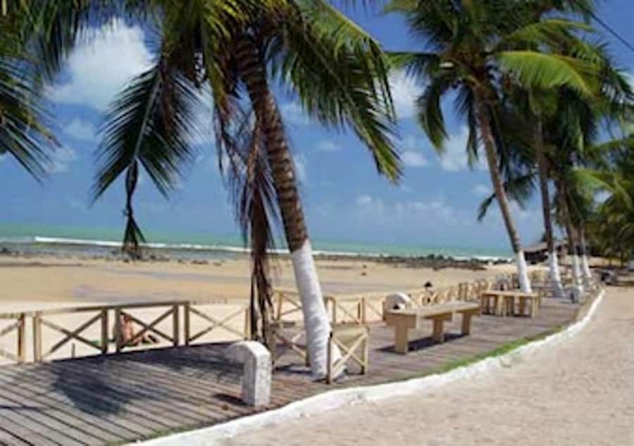 From Natal: Pipa, Cacimbinhas, And Love Beach Full-Day Tour - Timing, weather, and comfort tips that actually help