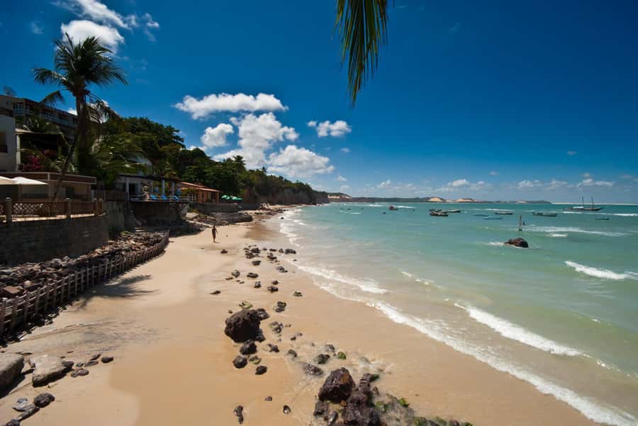 From Natal: Pipa, Cacimbinhas, And Love Beach Full-Day Tour - The morning drive and why the guide matters