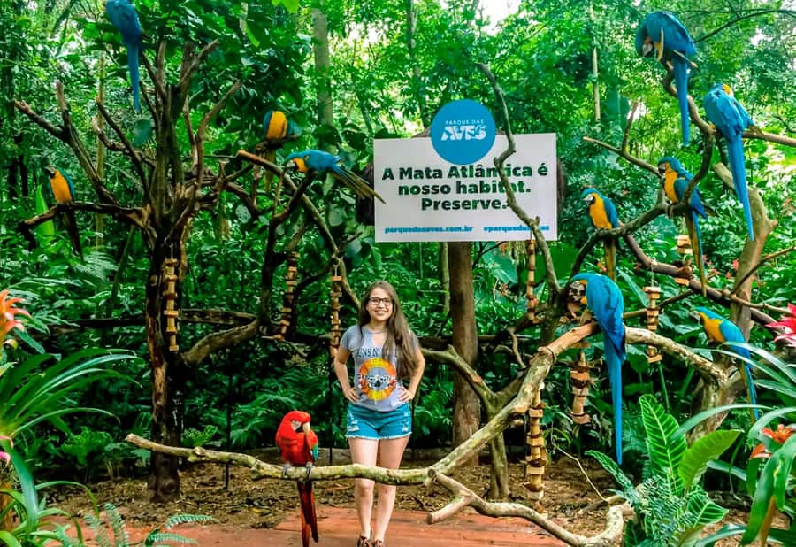 From Puerto Iguazú: Brazilian Bird Park Tour with Tickets - The Rainforest Walkway and Nurseries: Cascades, Bridges, and Close-Up Bird Watching