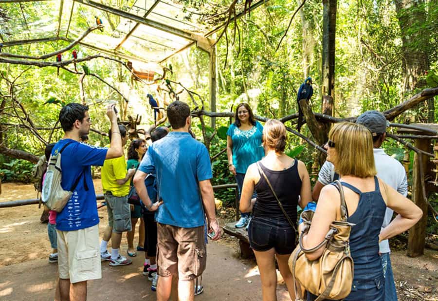 From Puerto Iguazú: Brazilian Bird Park Tour with Tickets - The Macaw Photo Stop and Lake of the Flamingos Views