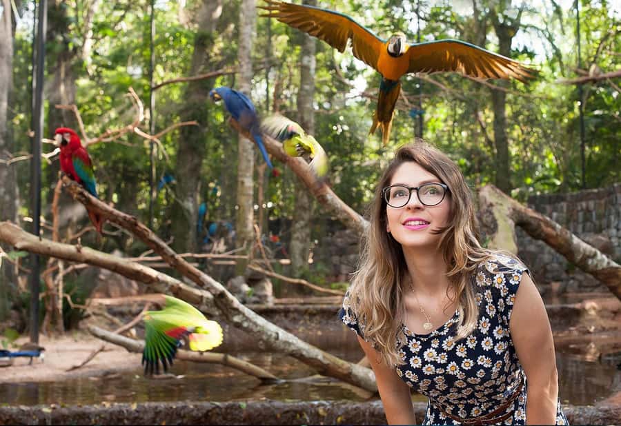 From Puerto Iguazú: Brazilian Bird Park Tour with Tickets - Upgrade Option: Restricted Backstage Access and What It Adds