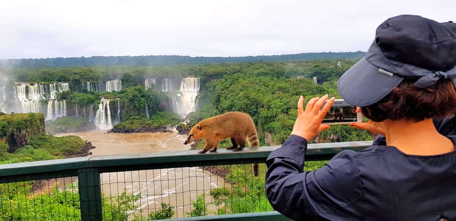 From Puerto Iguazu: Brazilian Falls with Boat Adventure - Pickup and the park day flow from Puerto Iguazu