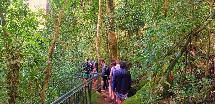 From Puerto Iguazu: Brazilian Falls with Boat Adventure - The chocolate stop and optional Bird Park upgrade