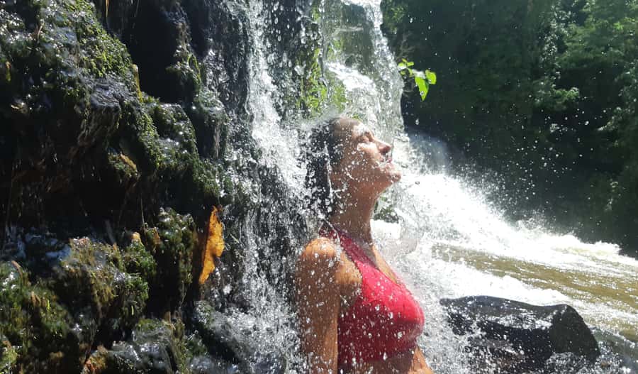 From Puerto Iguazu: Secret Falls Adventure - The guided trail through subtropical rainforest