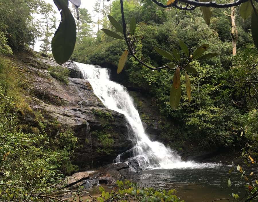 From Puerto Iguazu: Secret Falls Adventure - How the small-group format changes the experience